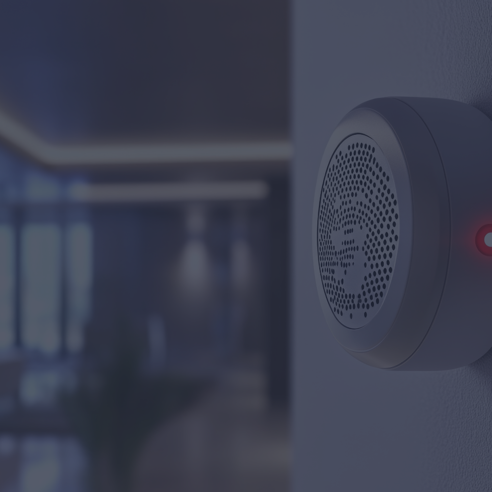 dagguvenliksistemleri-hizmetlerimiz-hirsizalarmsistemi